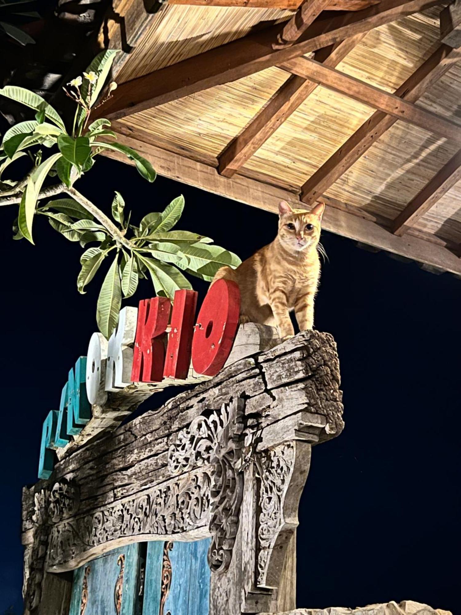 Pinokkio B&B Restaurant Ungasan  Luaran gambar