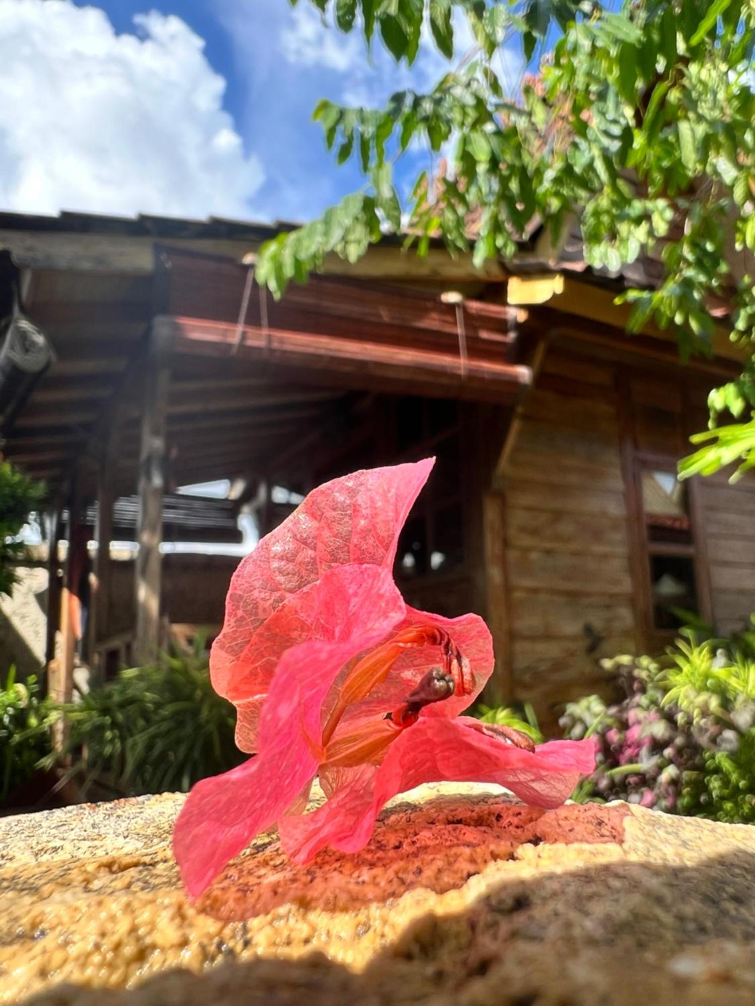 Pinokkio B&B Restaurant Ungasan  Luaran gambar
