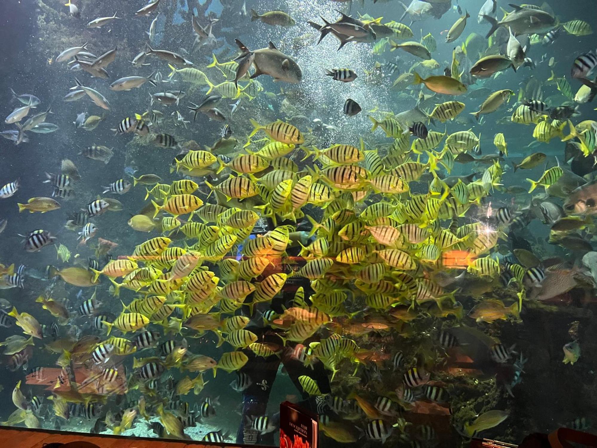 Pinokkio B&B Restaurant Ungasan  Luaran gambar