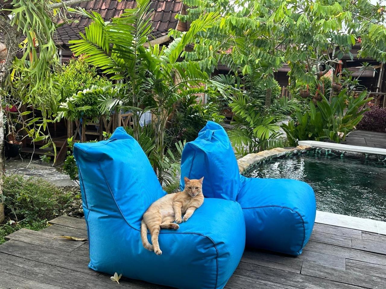 Pinokkio B&B Restaurant Ungasan  Luaran gambar