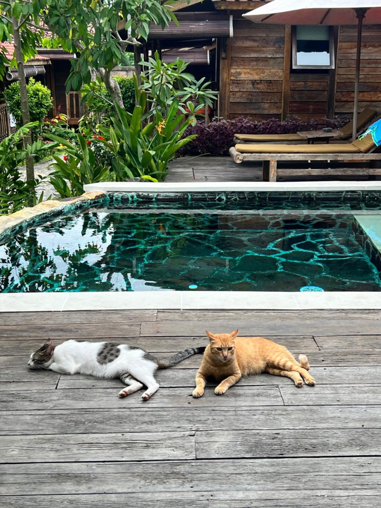 Pinokkio B&B Restaurant Ungasan  Luaran gambar